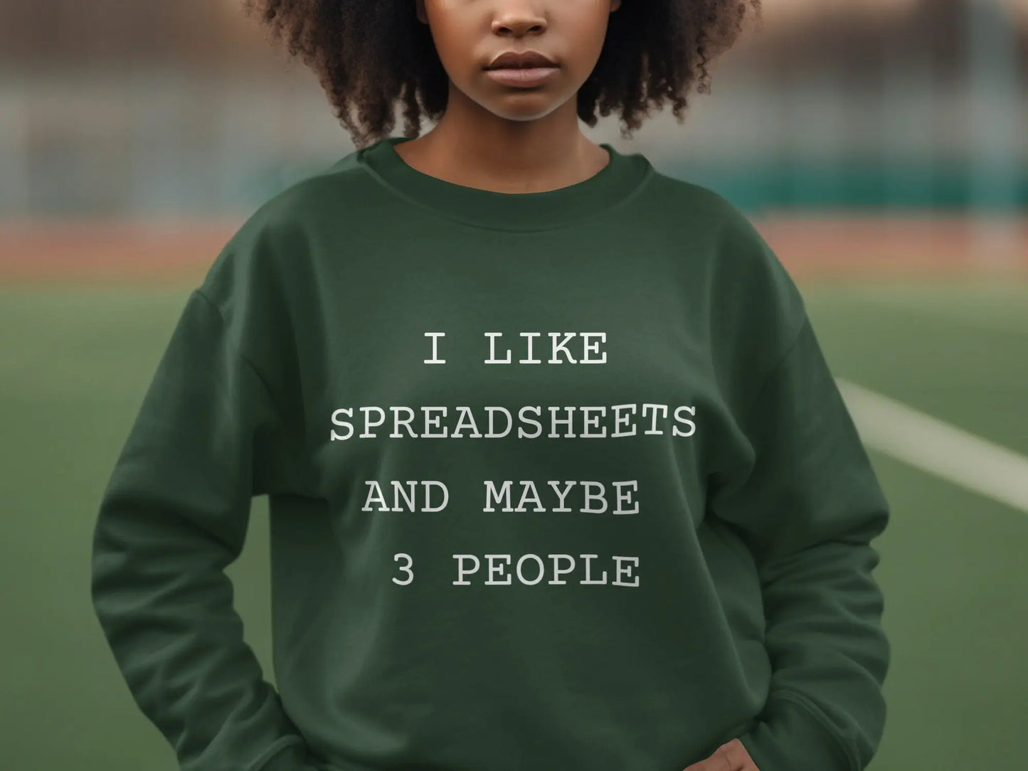 I Like Spreadsheets And Maybe 3 People Sweatshirt