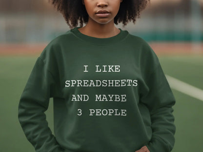 I Like Spreadsheets And Maybe 3 People Sweatshirt