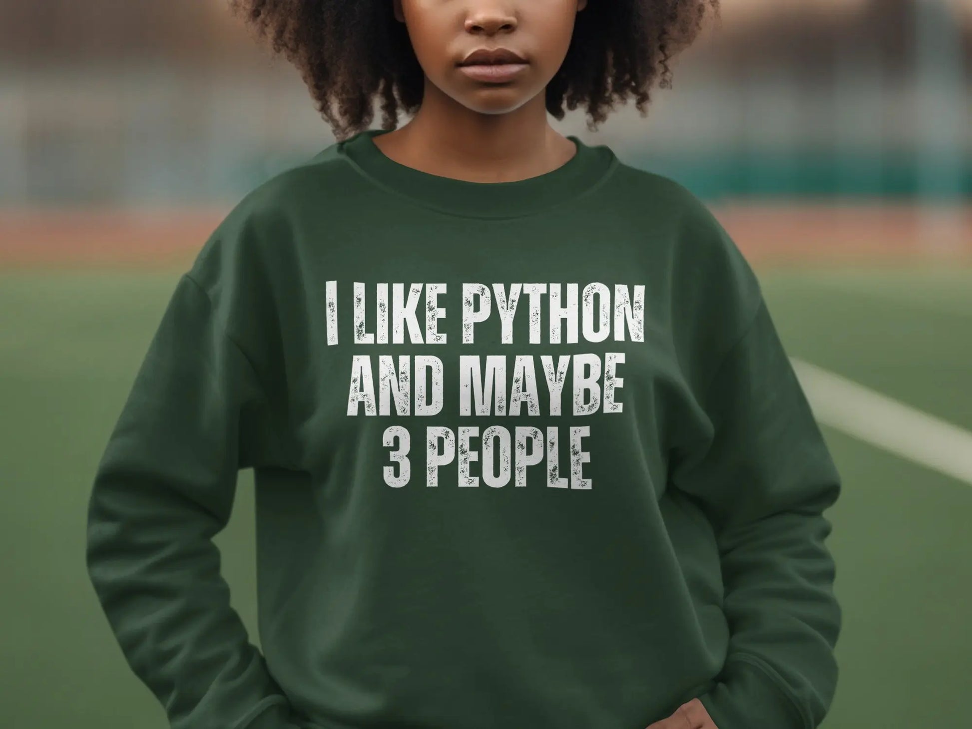 I Like Python And Maybe 3 People Sweatshirt