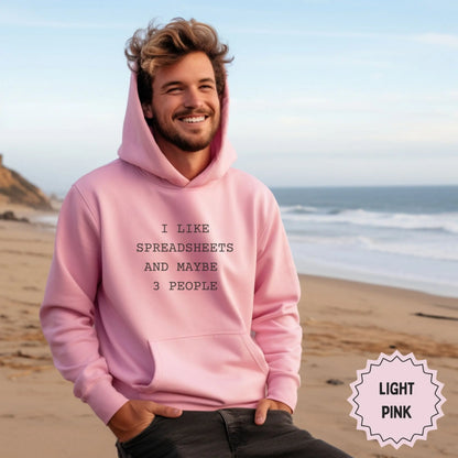 I Like Spreadsheets And Maybe 3 People Light Pink Hoodie