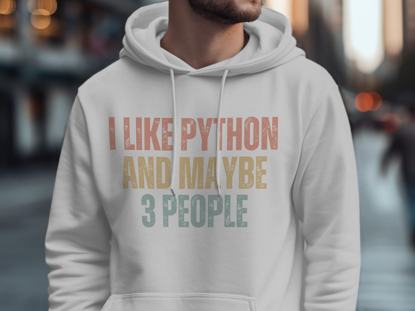 I Like Python And Maybe 3 People Graphic Hoodie