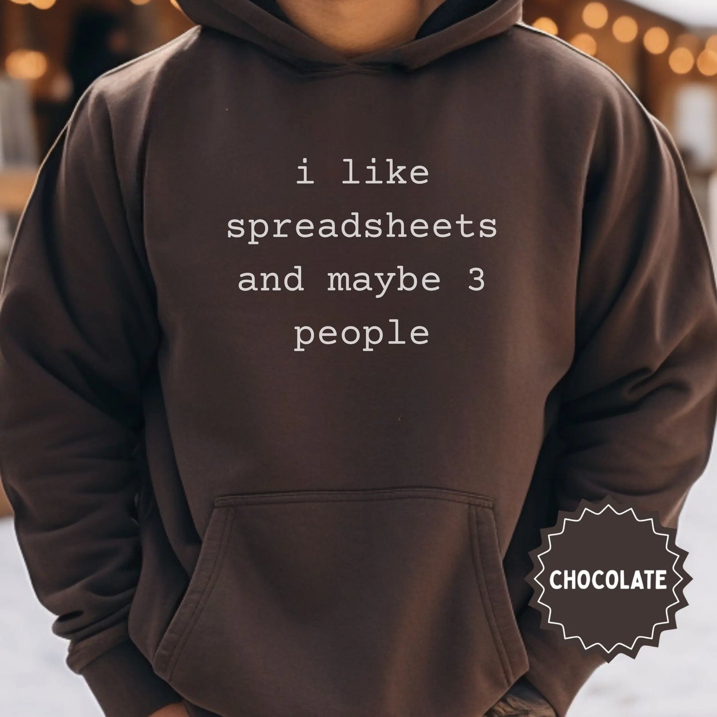 I Like Spreadsheets And Maybe 3 People Hoodie
