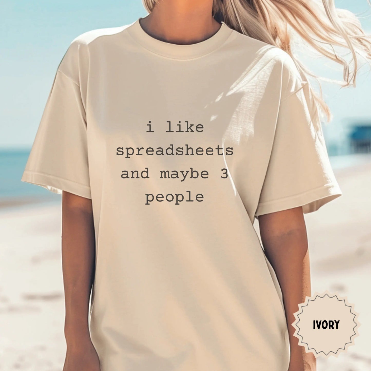 I Like Spreadsheets And Maybe 3 People Shirt